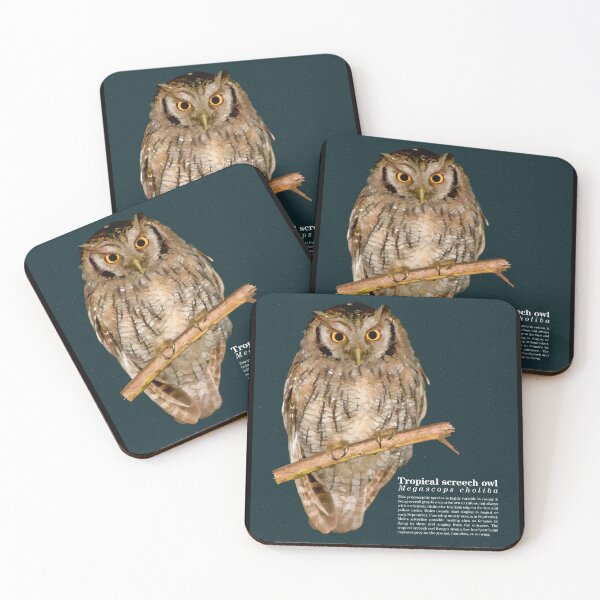 Item preview, Tropical screech owl on a tree at night designed and sold by Mauricio Acosta.
