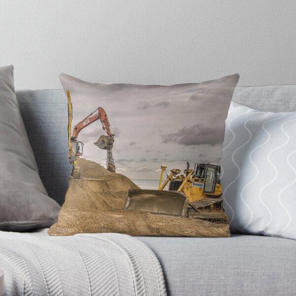 https://ih1.redbubble.net/image.1529822538.9437/throwpillow,small,600x-bg,f8f8f8-c,0,120,600,600.jpg