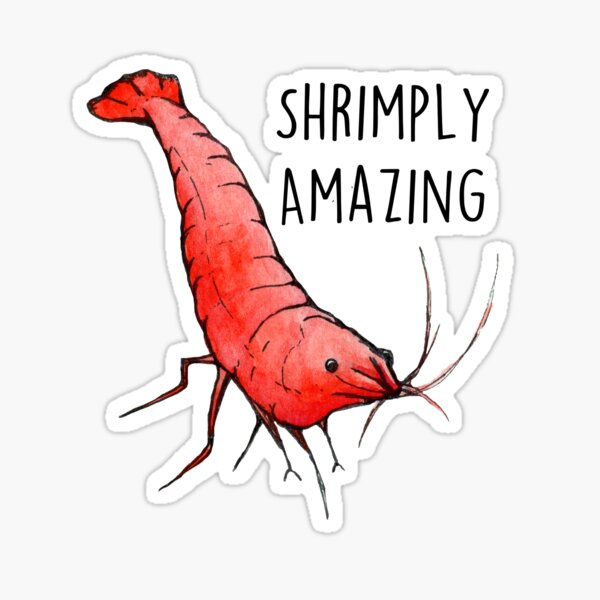 Shrimply Amazing Sticker