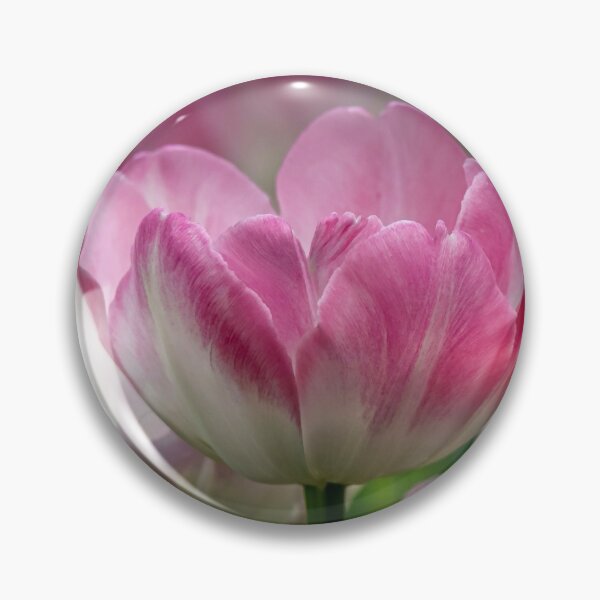 Item preview, Simple Beauty Tulips designed and sold by Susan Rydberg.