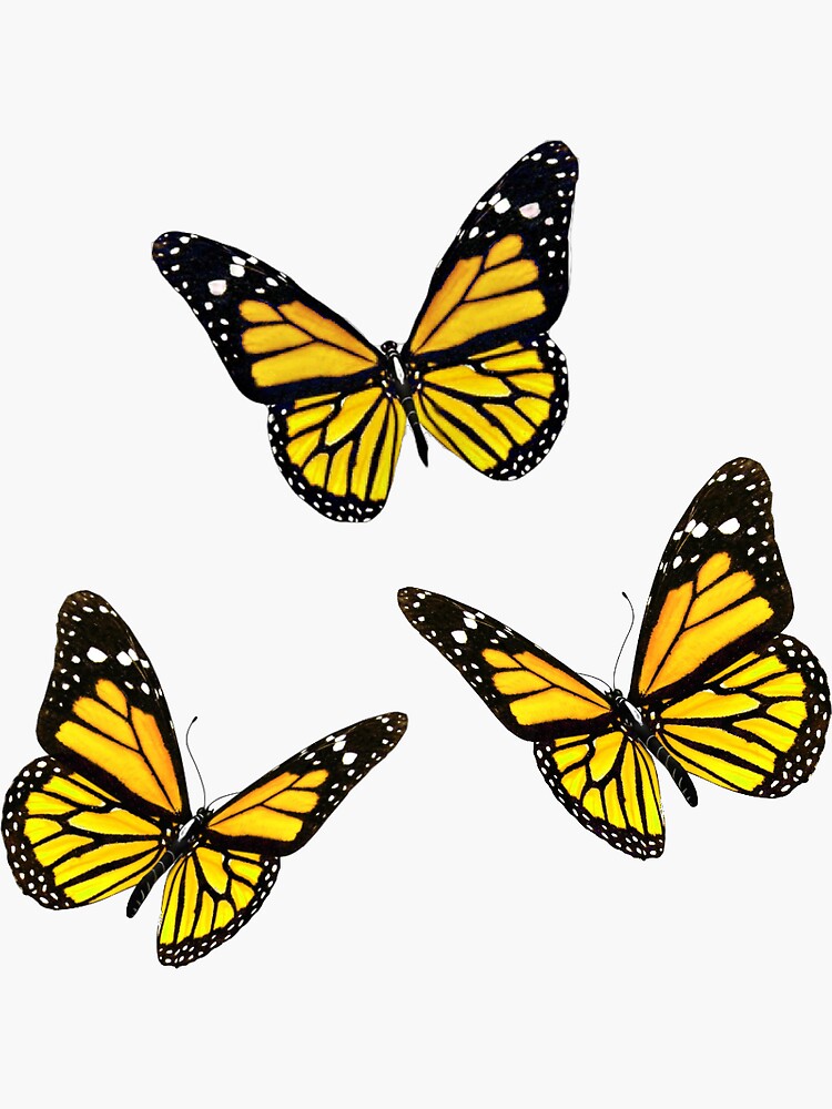 yellow butterfly pack sticker by zippolighter redbubble