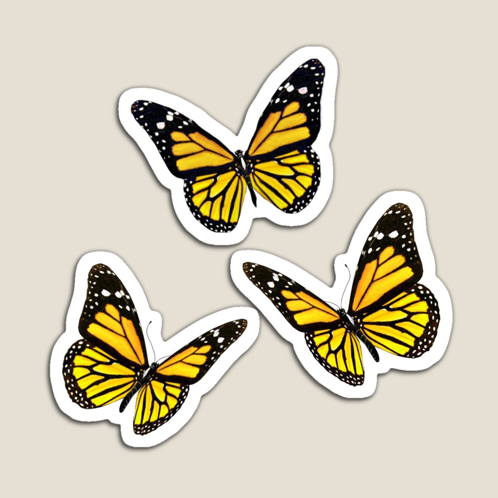 Butterfly Pack Sticker for Sale by sydneyw31