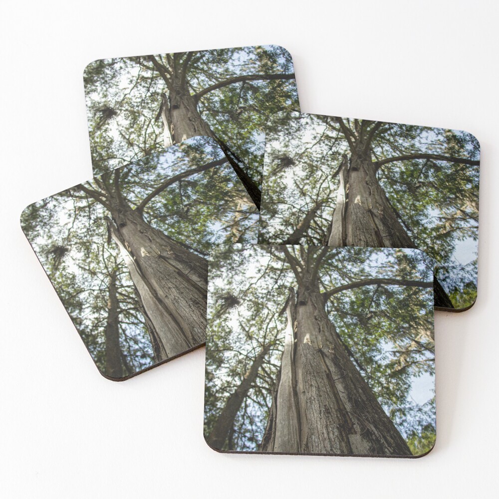 Item preview, Coasters (Set of 4) designed and sold by MLouis3.