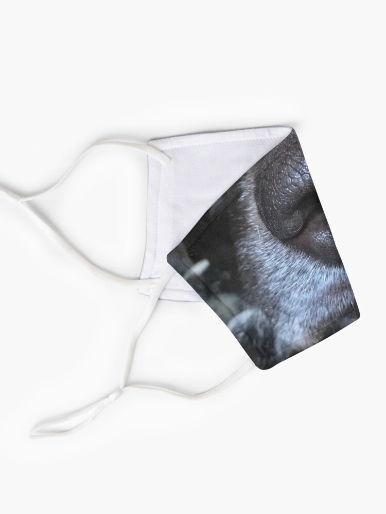 Alternate view of Boop Your Nose Mask - Dog Mask