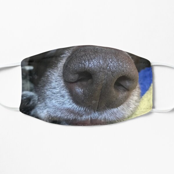 Boop Your Nose Mask - Dog Flat Mask