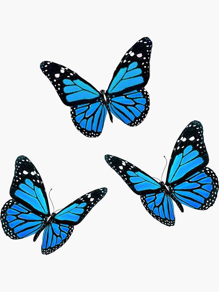 Blue Monarch Butterfly Pack Sticker By Zippolighter Bubble Stickers ...