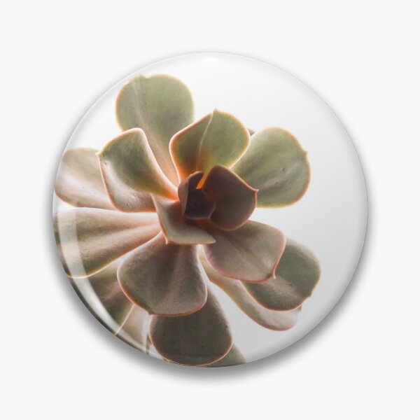 Item preview, Bright Colorful Succulent on White  designed and sold by maddieskinz.