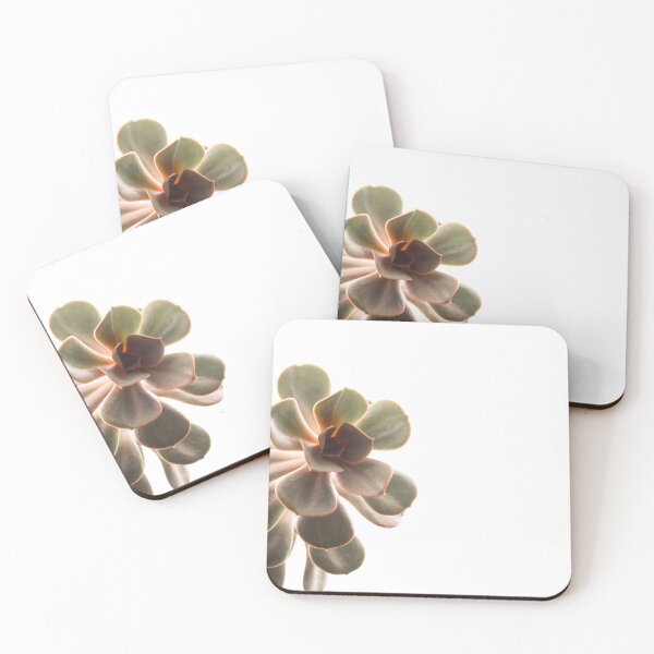 Item preview, Bright Colorful Succulent on White  designed and sold by maddieskinz.