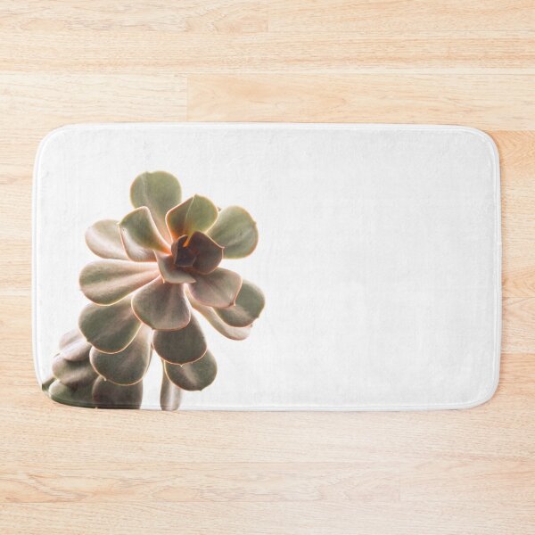 Item preview, Bright Colorful Succulent on White  designed and sold by maddieskinz.