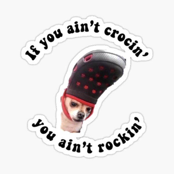 cat & dog crocs meme Sticker for Sale by Carina Jade