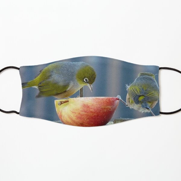 Holding the Apple Up! - Wax Eye NZ - Southland Kids Mask