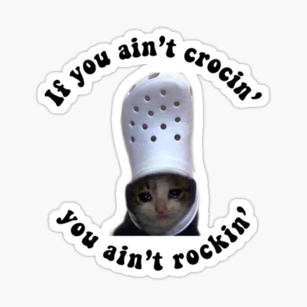 crying cat in a croc Sticker
