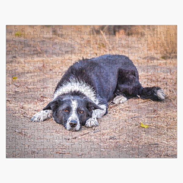  Wooden Jigsaw Puzzle Game Purebred German Shepherd Dog