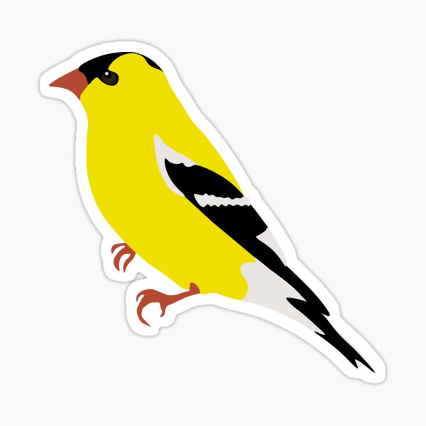American Goldfinch Sticker Sticker