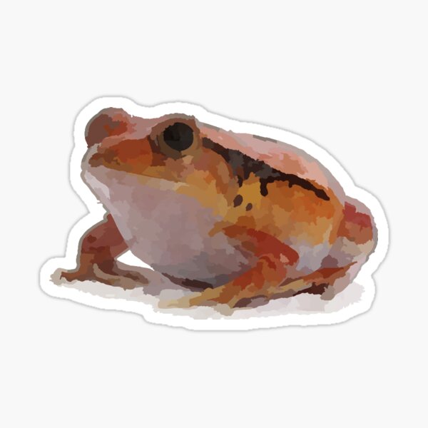 Tiny Frog Art Stickers – Milky Tomato