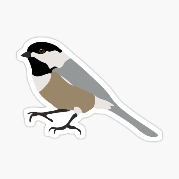 Carolina Chickadee Sticker Sticker