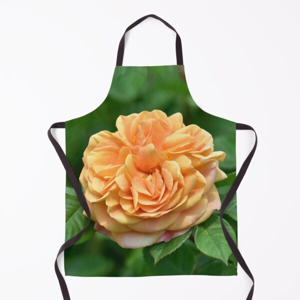 Item preview, Beautiful orange rose. designed and sold by IoanaHraball.