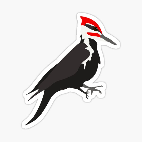 Pileated Woodpecker Sticker Sticker