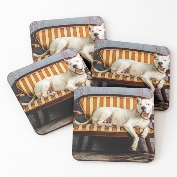 Item preview, Dogo argentino sitting on a sofa designed and sold by good vibes clothing.