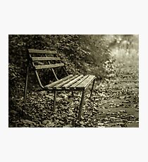 Bench Photographic Print