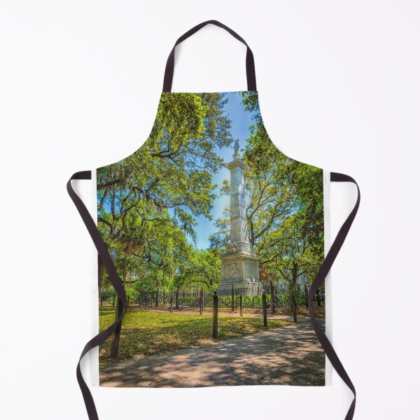 Item preview, Casimir Pulaski Monument Savannah designed and sold by GestaltImagery.