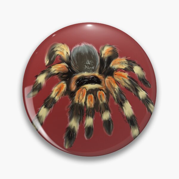 Artikelvorschau, Brachypelma hamorii entworfen und verkauft von bluejayknits.