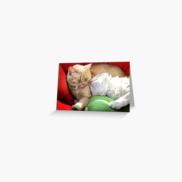 Warmth and Love for the Holidays Greeting Card