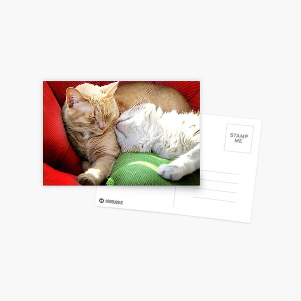 Warmth and Love for the Holidays Postcard