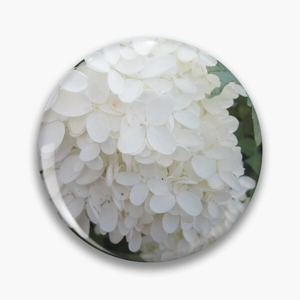Item preview, White Hydrangea Photo designed and sold by PositCat.