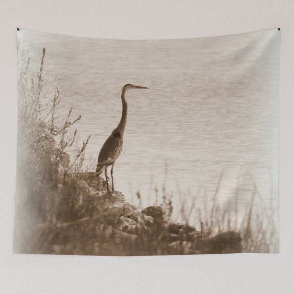 Item preview, Great Blue Heron on Shore designed and sold by traceh38.