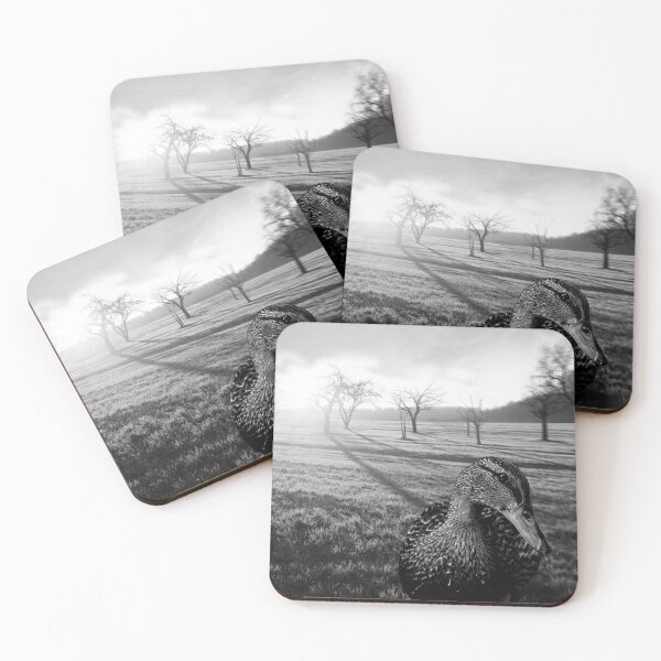 Item preview, black and white duck, on a country landscape print designed and sold by KG-Customs.