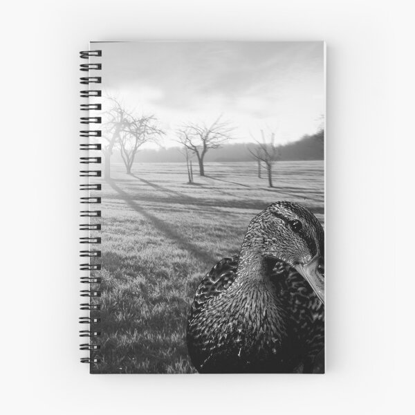 Item preview, black and white duck, on a country landscape print designed and sold by KG-Customs.