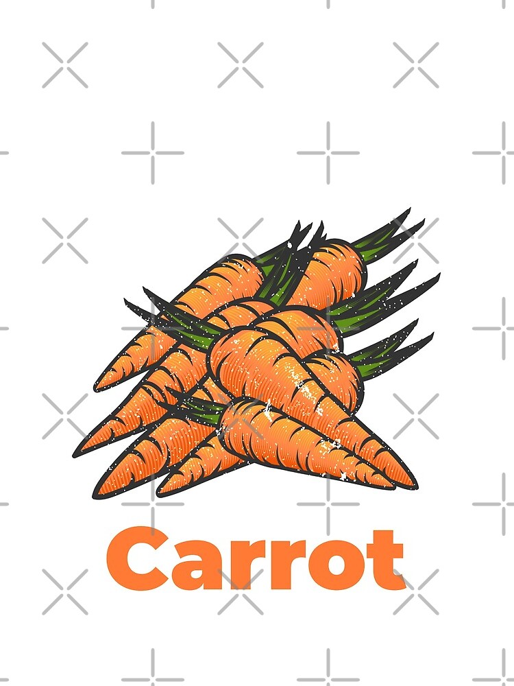 Carrot Vegetable with Name by nikkihstokes
