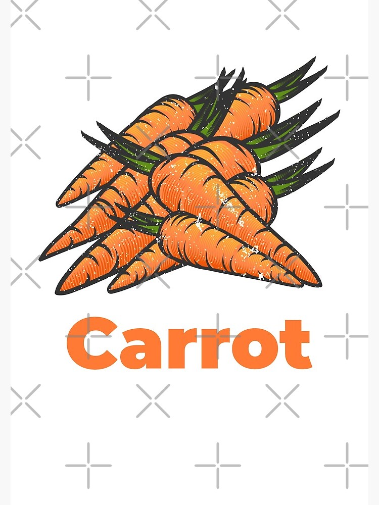 Carrot Vegetable with Name by nikkihstokes