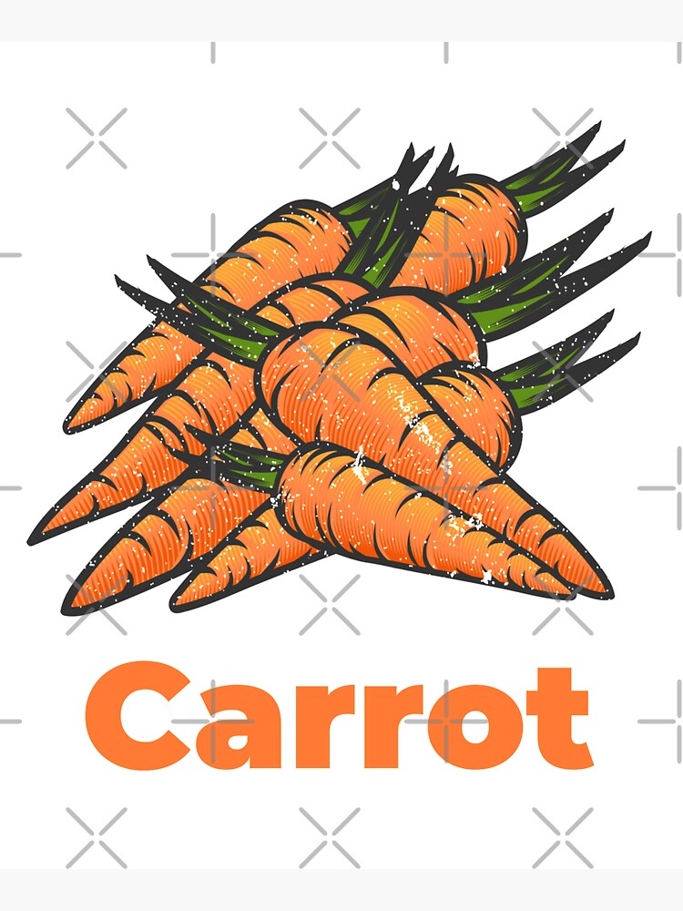 Carrot Vegetable with Name by nikkihstokes