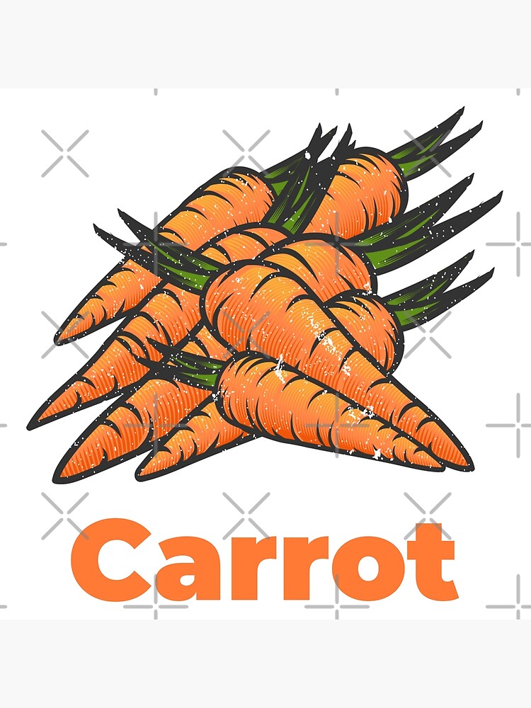 Carrot Vegetable with Name by nikkihstokes