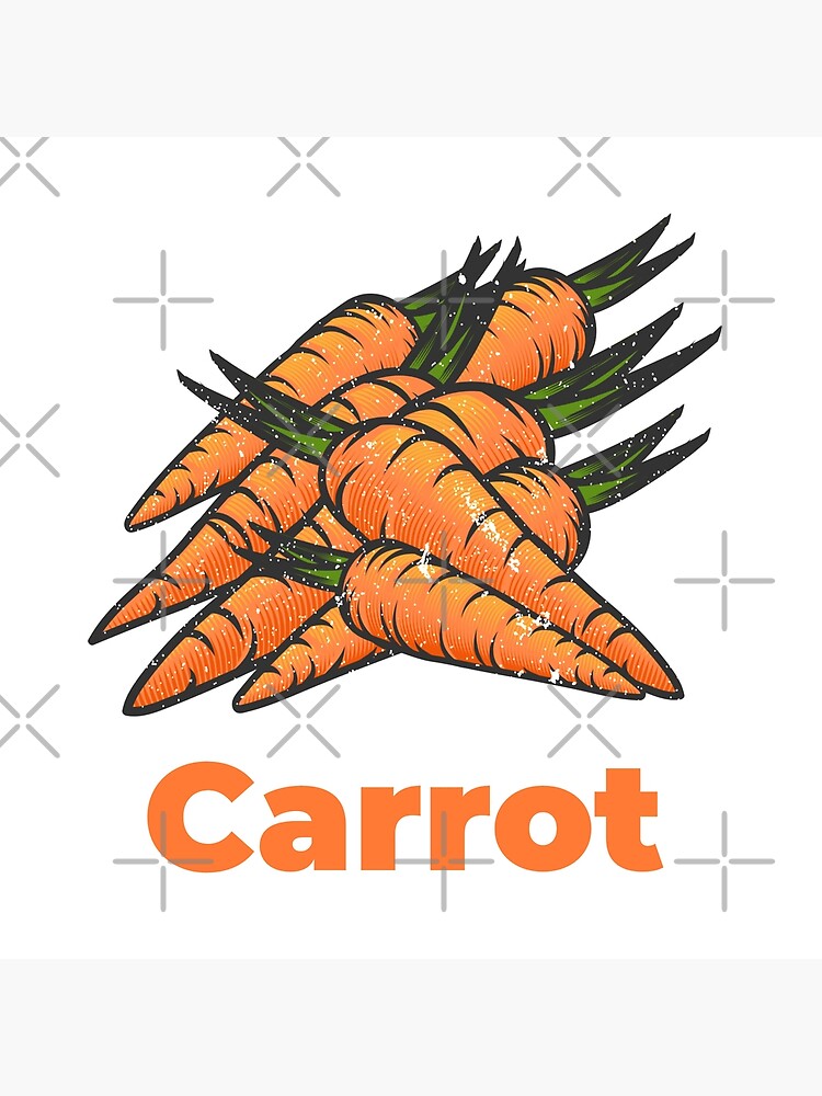 Carrot Vegetable with Name by nikkihstokes