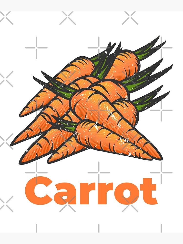 Carrot Vegetable with Name by nikkihstokes