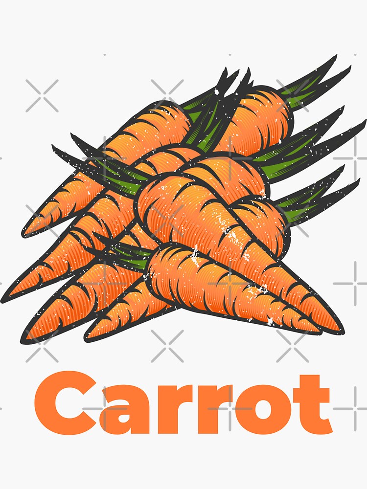 Carrot Vegetable with Name by nikkihstokes
