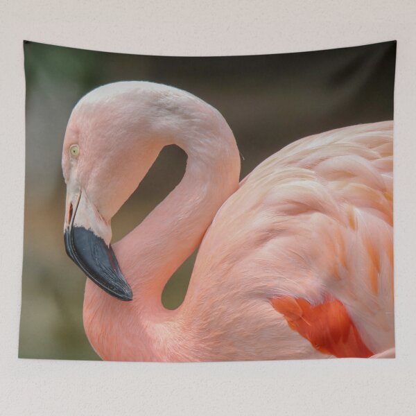 Item preview, Chilean Flamingo Portrait designed and sold by Susan Rydberg.