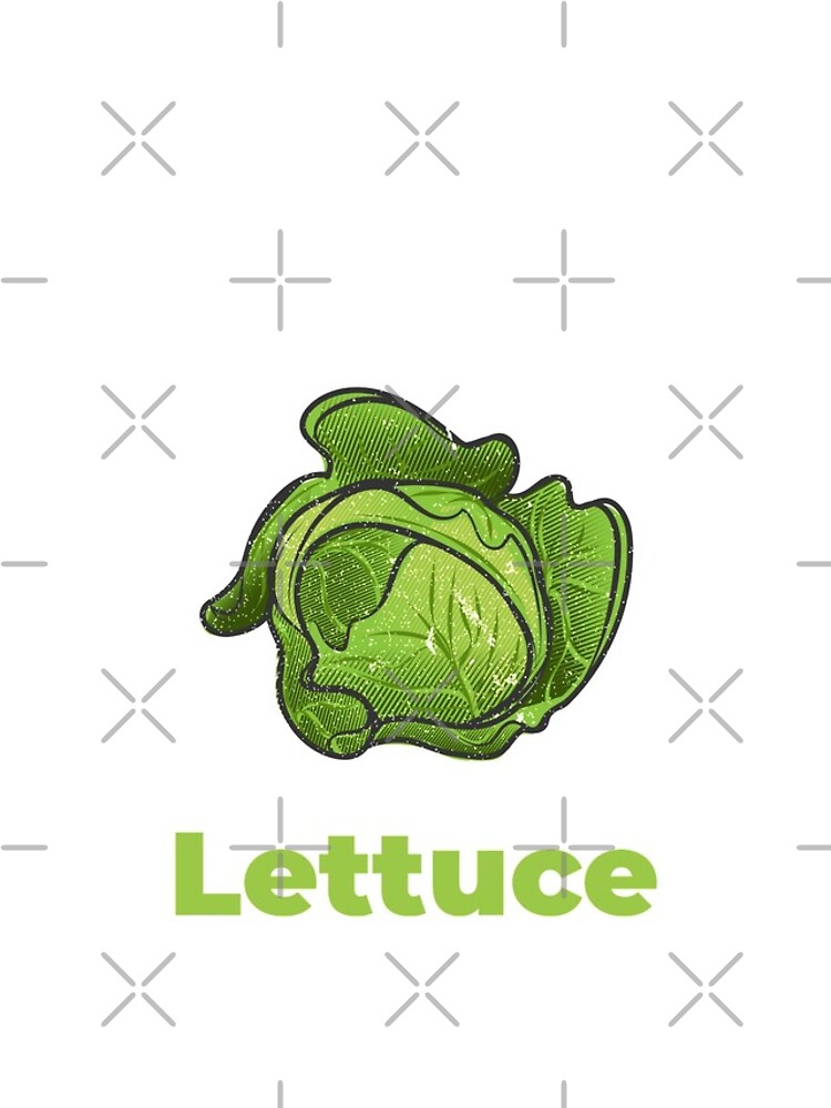 Lettuce Vegetable with Name by nikkihstokes