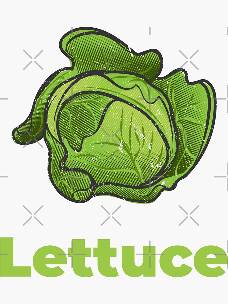 Lettuce Vegetable with Name by nikkihstokes