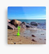 Spade Metal Print