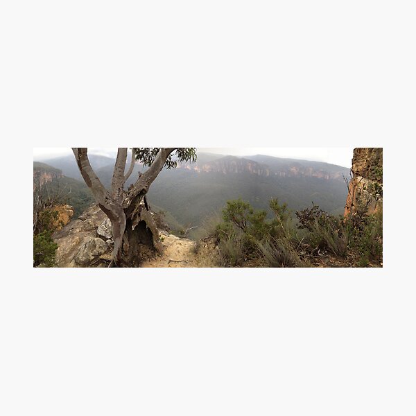Item preview, Tree at Hanging Rock designed and sold by GeorgeOne.