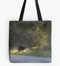 Black Bear Morning Tote Bag