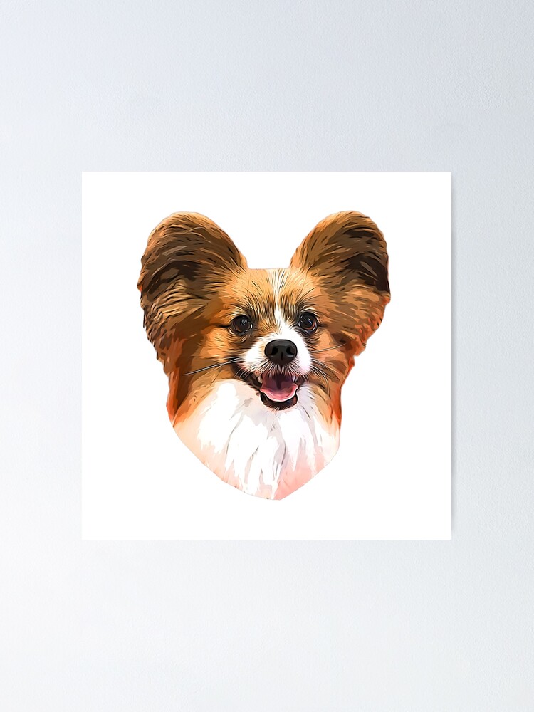 Poster Papillon dog 