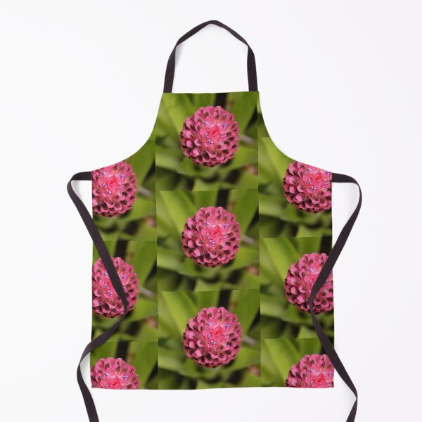 Item preview, Bromeliad designed and sold by Carole-Anne.