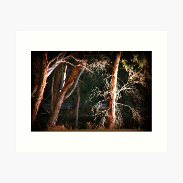 Item preview, Barren by Lorraine McCarthy designed and sold by Lorraine McCarthy.