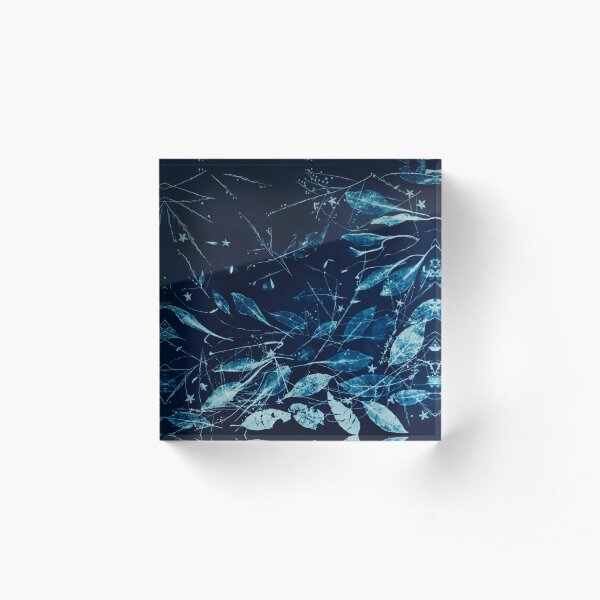 Transparent Leaves in Blue and White Cyanotype Acrylic Block