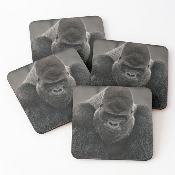Item preview, Oumbi The Silverback Gorilla's Smirk designed and sold by rawshutterbug.